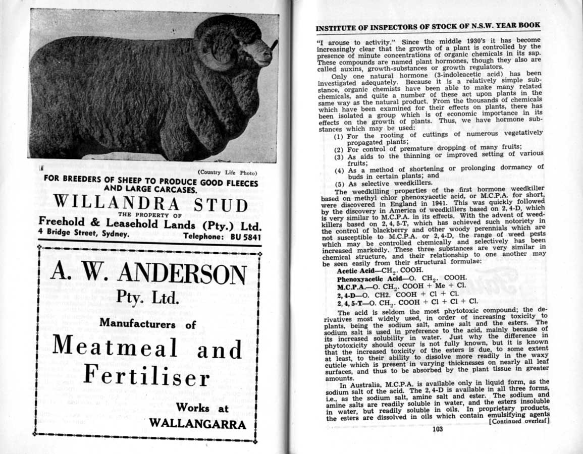 1951 Page 102 103